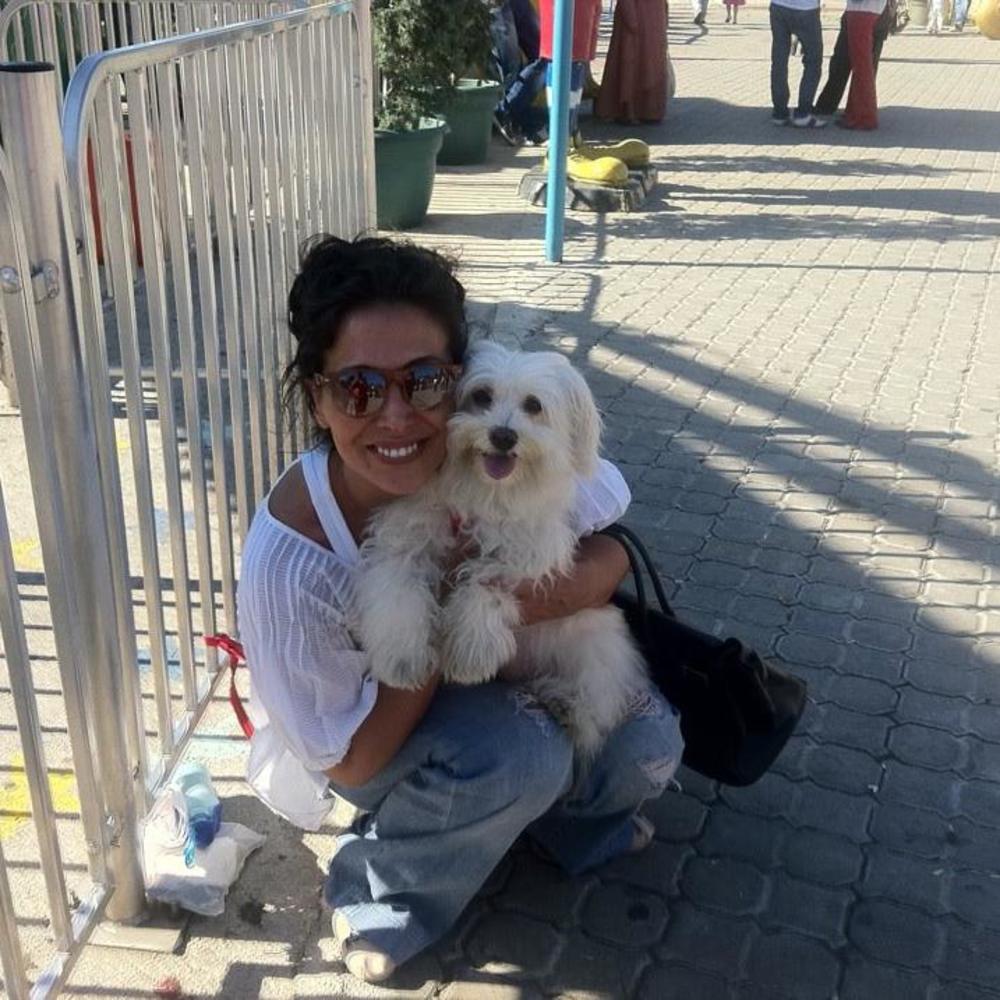 Meet your Posher, Lokum